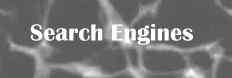 SEARCH ENGINES